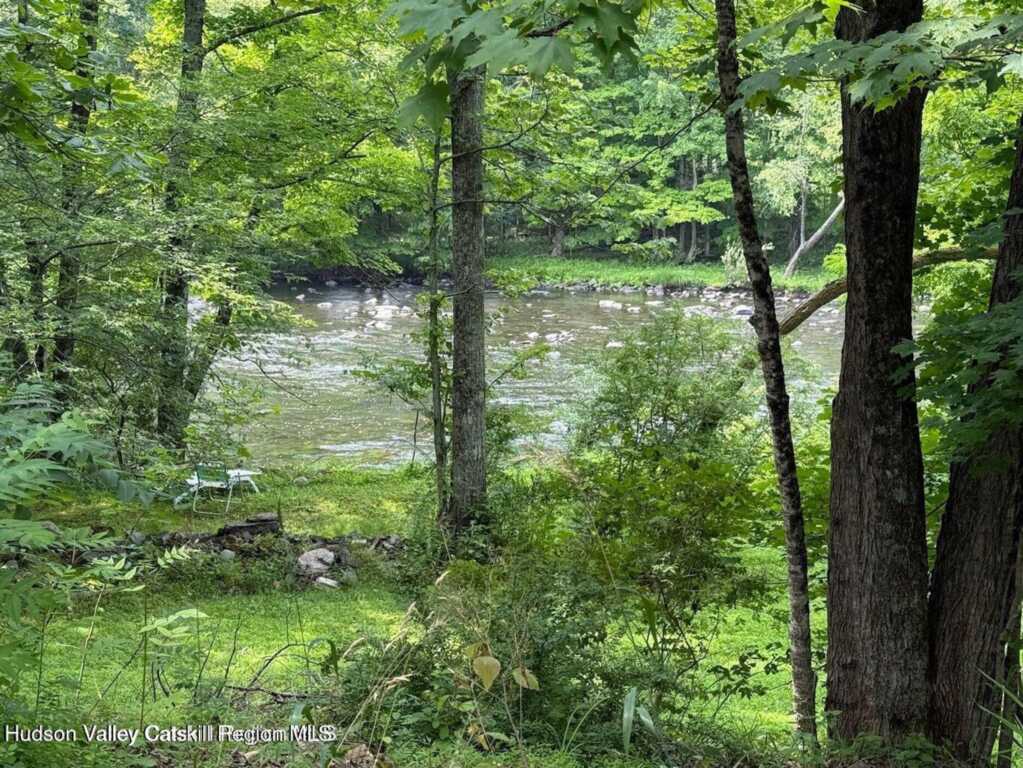 546 Berme Rd Road, High Falls, NY 12440 - Photo 2 of 50