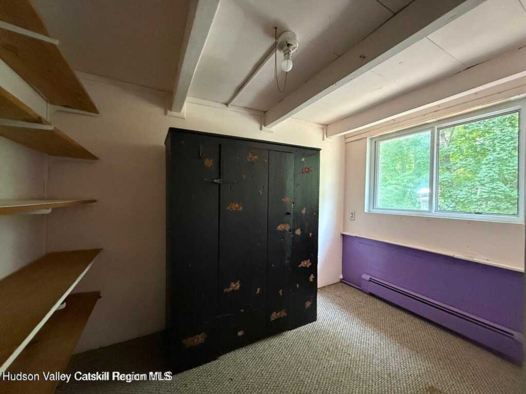 546 Berme Rd Road, High Falls, NY 12440 - Photo 29 of 50