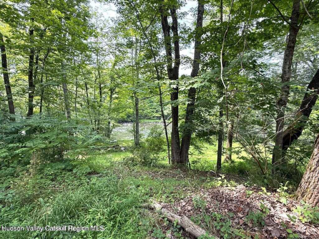 546 Berme Rd Road, High Falls, NY 12440 - Photo 46 of 50
