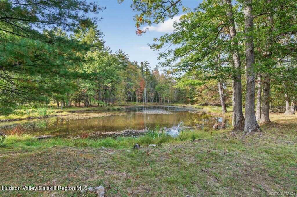 55 Ginger Road, High Falls, NY 12440 - Photo 30 of 37