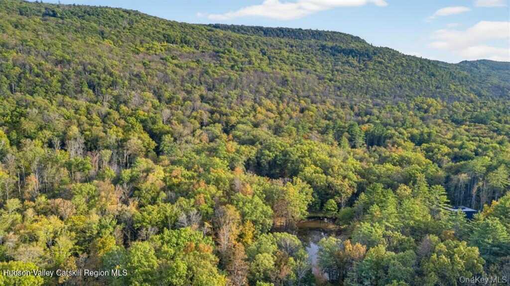 55 Ginger Road, High Falls, NY 12440 - Photo 4 of 37