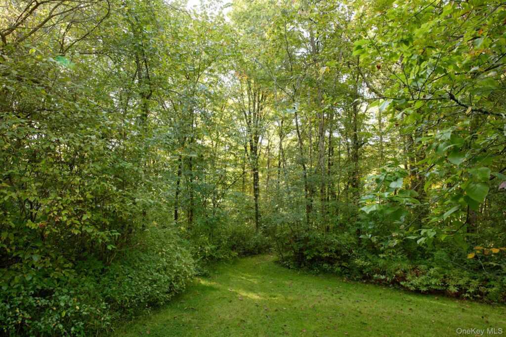46 Shivertown, New Paltz, NY 12561 - Photo 7 of 32
