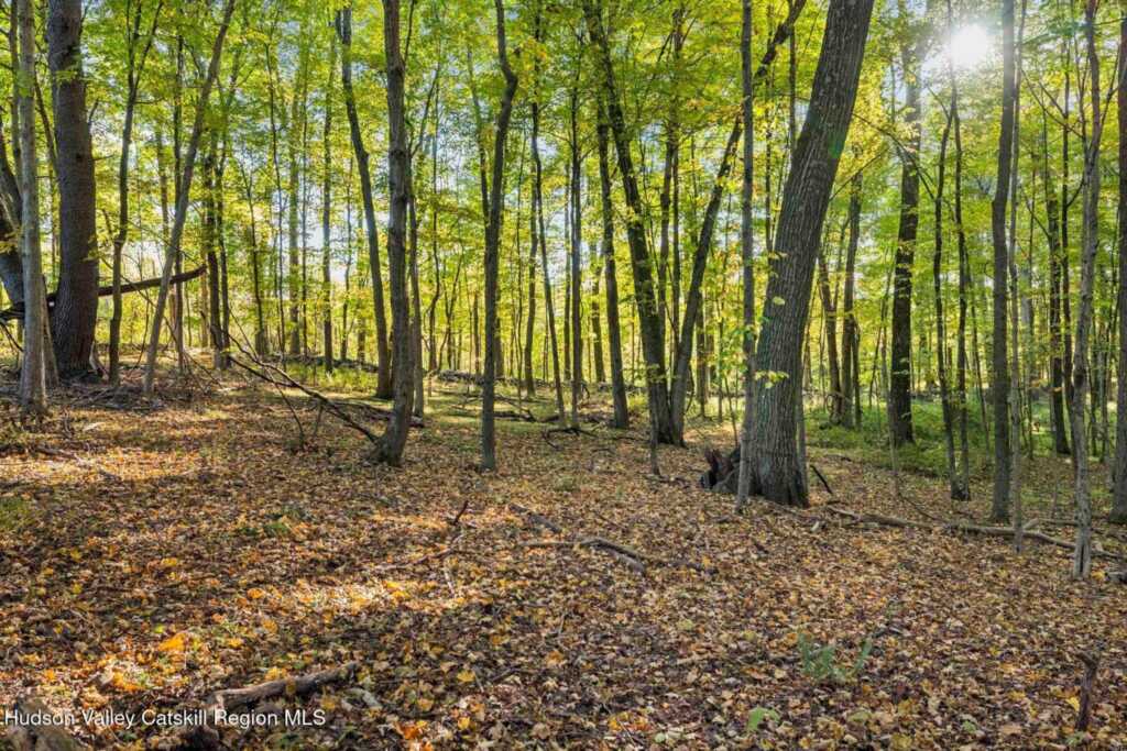 392-396 Cottekill Road, Stone Ridge, NY 12484 - Photo 27 of 34