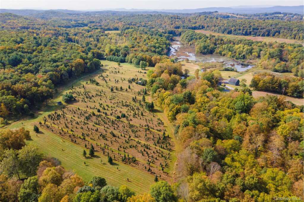 191 White Schoolhouse Rd, Rhinebeck, NY 12572 - Photo 33 of 39