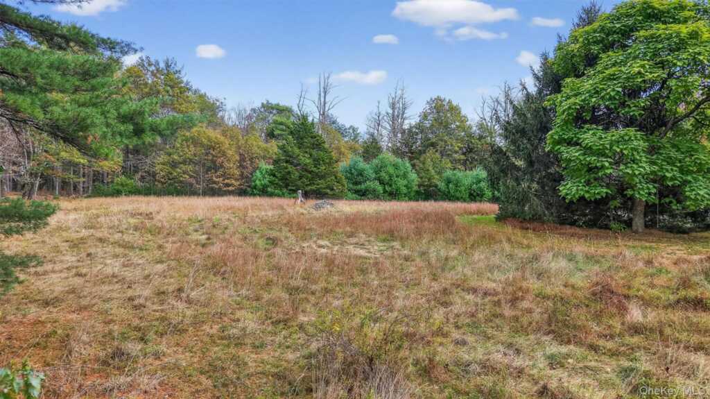 300 Band Camp Road, Saugerties, NY 12477 - Photo 19 of 48