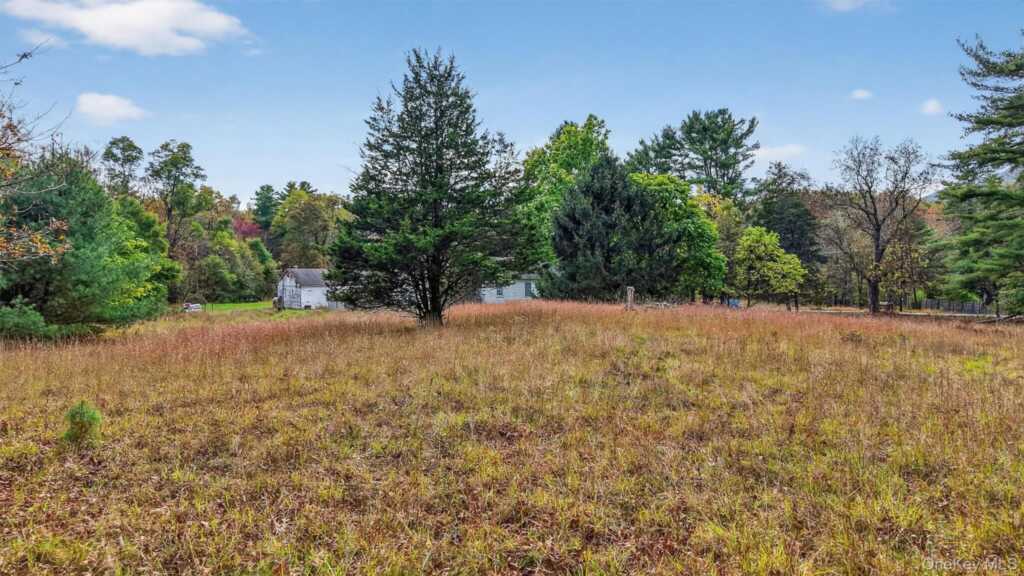 300 Band Camp Road, Saugerties, NY 12477 - Photo 24 of 48