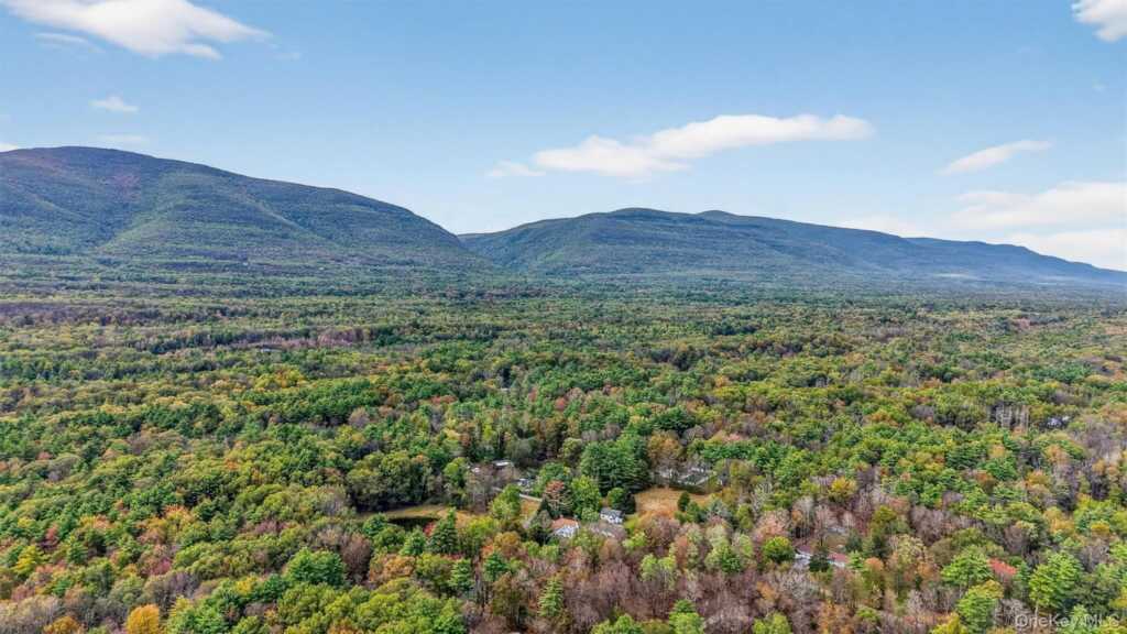 300 Band Camp Road, Saugerties, NY 12477 - Photo 6 of 48