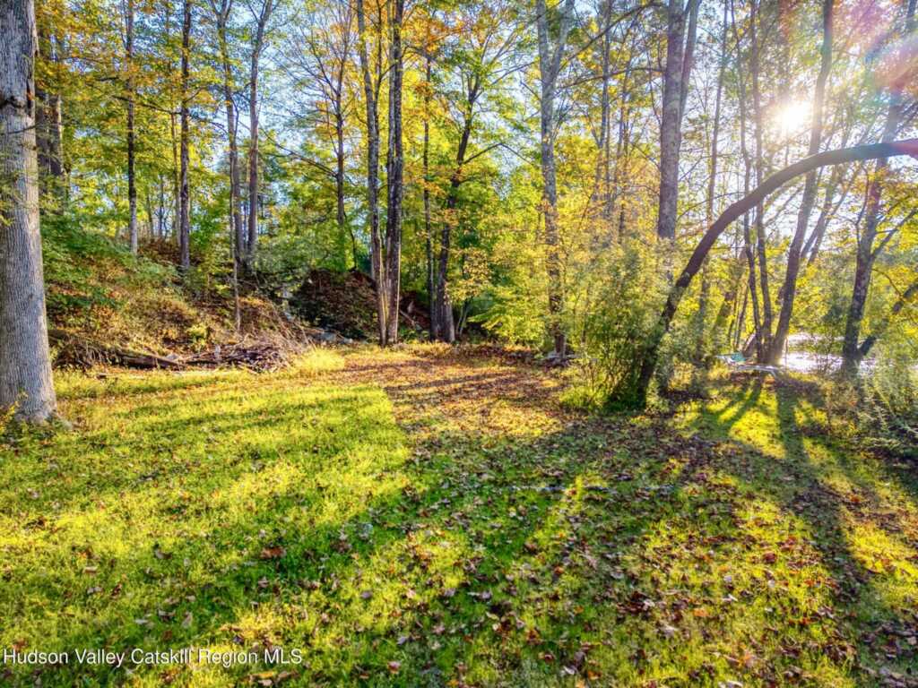 563 Berme, High Falls, NY 12440 - Photo 12 of 45