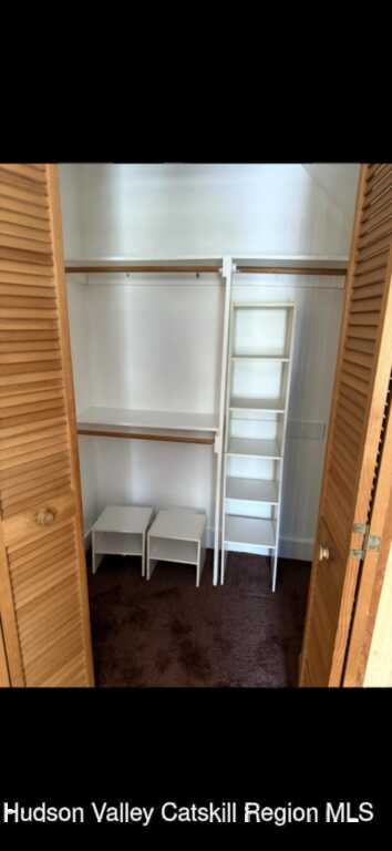 86 Ulster Avenue, Unit #B, Saugerties, NY 12477 - Photo 15 of 16