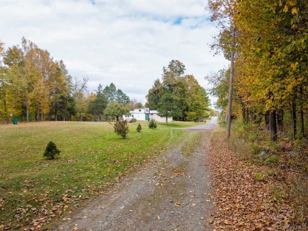 11 Miller Lane, New Paltz, NY 12561 - Photo 2 of 31
