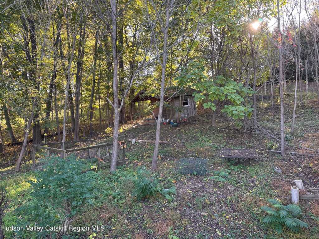 14 & 16 Underwood Street, Saugerties, NY 12477 - Photo 14 of 16