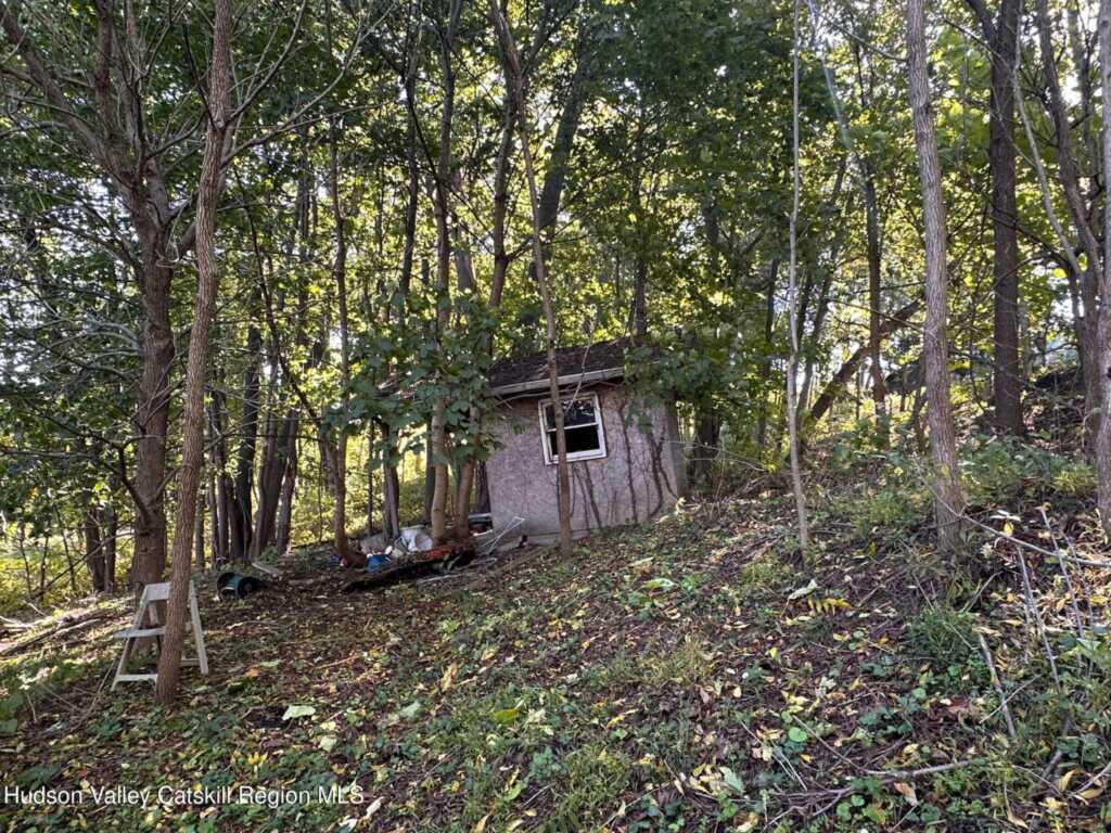 14 & 16 Underwood Street, Saugerties, NY 12477 - Photo 16 of 16