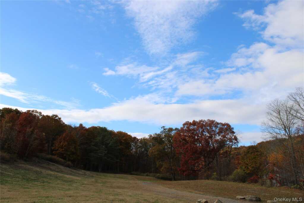400 Round Lake (To Be Built) Road, Unit #2 & 2A, Rhinebeck, NY 12572 - Photo 12 of 19