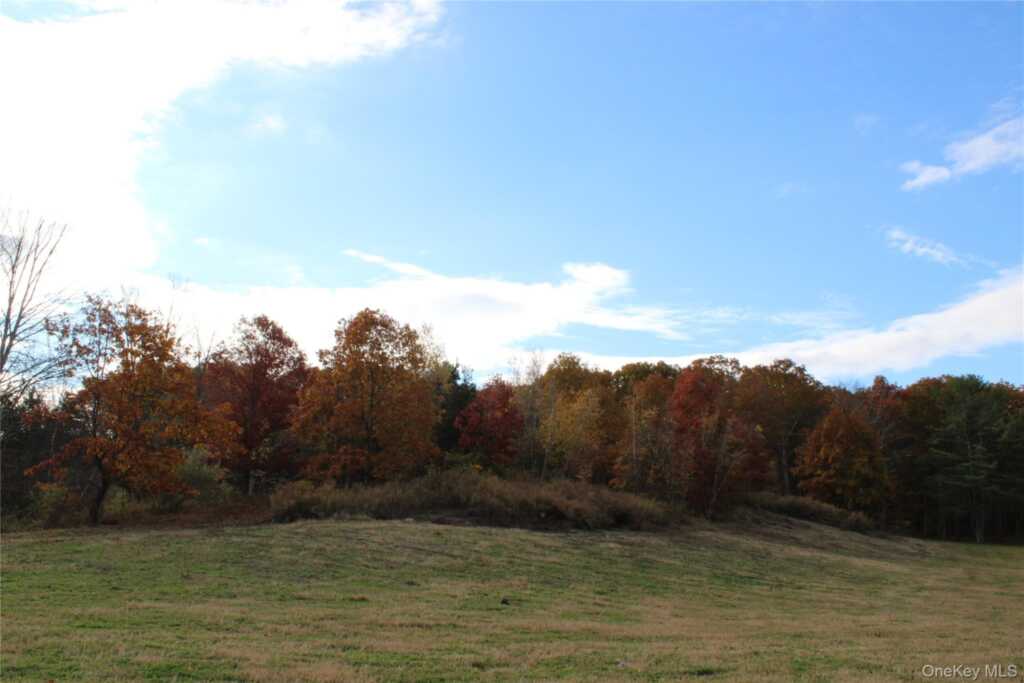 400 Round Lake (To Be Built) Road, Unit #2 & 2A, Rhinebeck, NY 12572 - Photo 14 of 19