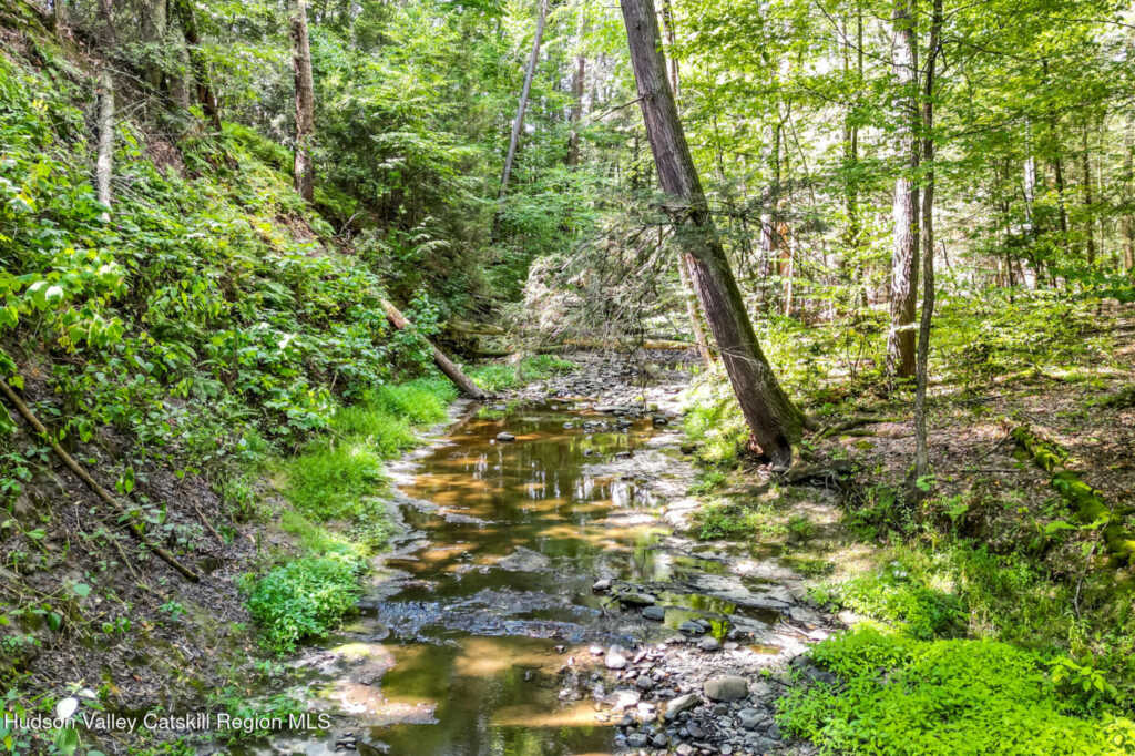 35 Fern Hollow Road, Stone Ridge, NY 12484 - Photo 3 of 40