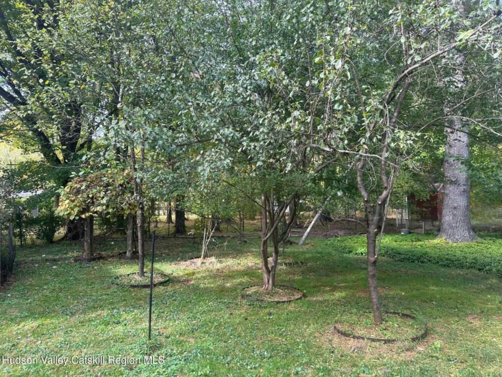 5 Evergreen Lane, Woodstock, NY 12498 - Photo 22 of 30