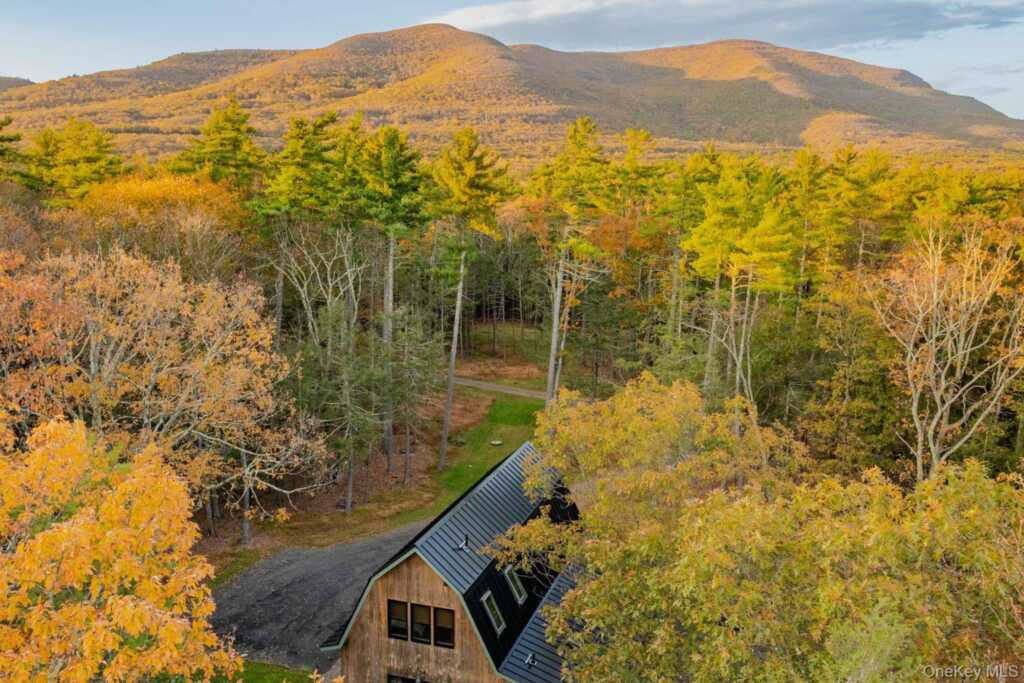 66 Plochmann Lane, Woodstock, NY 12498 - Photo 3 of 50