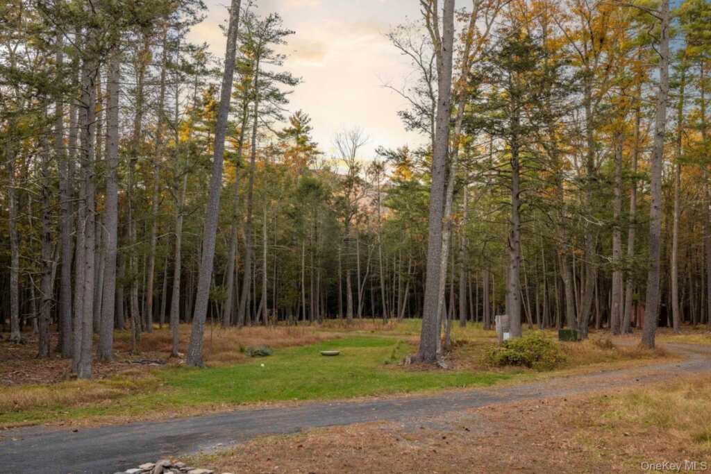 66 Plochmann Lane, Woodstock, NY 12498 - Photo 47 of 50