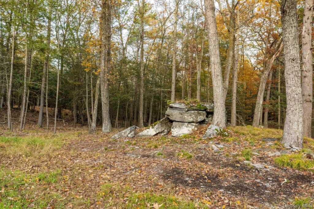 66 Plochmann Lane, Woodstock, NY 12498 - Photo 48 of 50