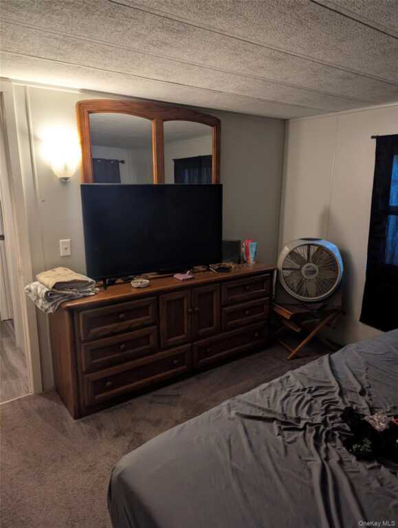 242 Ruby Road, Unit #6, Kingston, NY 12401 - Photo 18 of 23