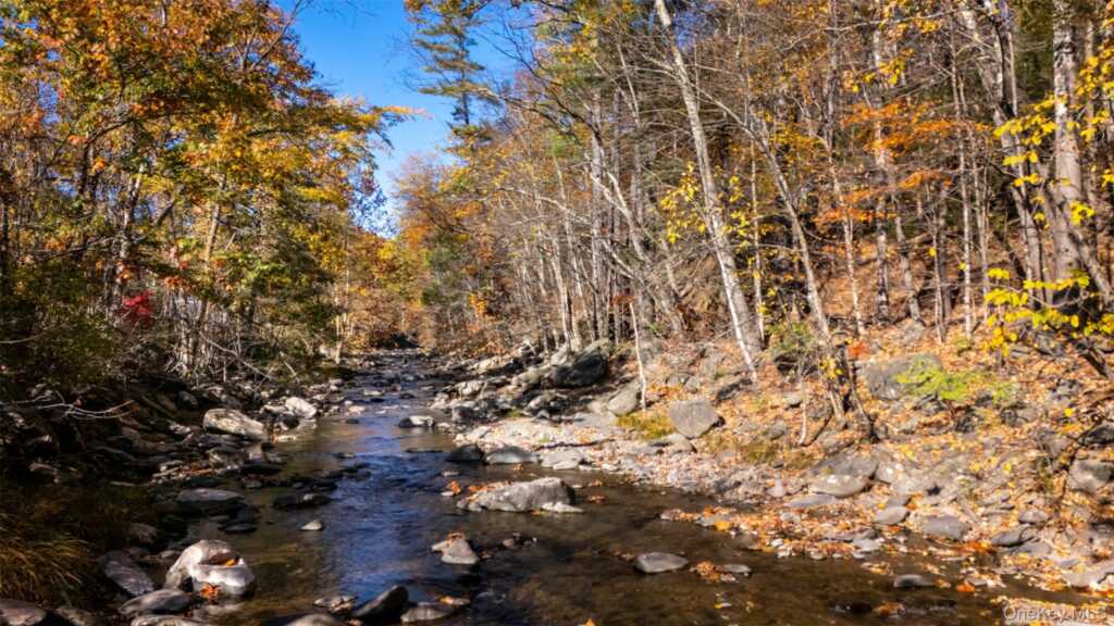 3207-3209 Route 212, Woodstock, NY 12498 - Photo 2 of 42