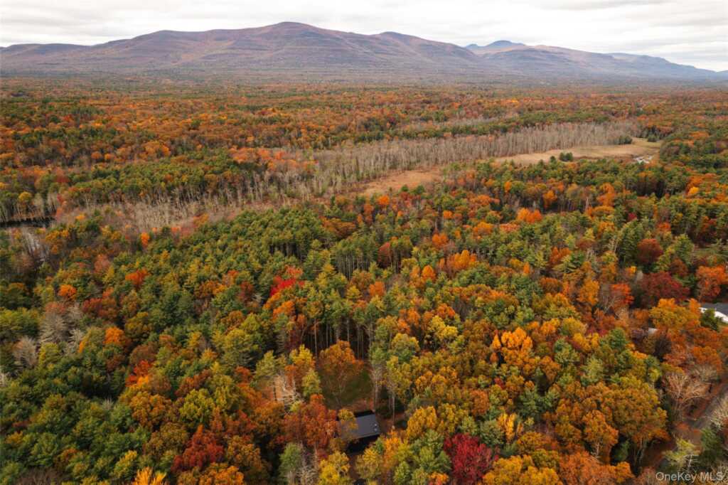 210 Dutchtown Road, Saugerties, NY 12477 - Photo 27 of 27