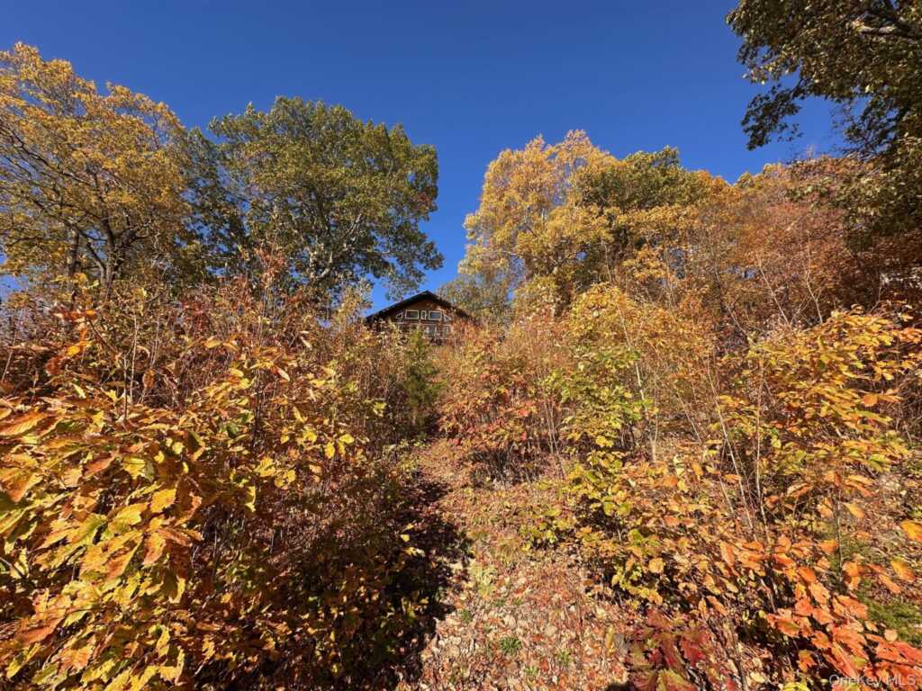 54 Deak Lane, Saugerties, NY 12477 - Photo 20 of 23