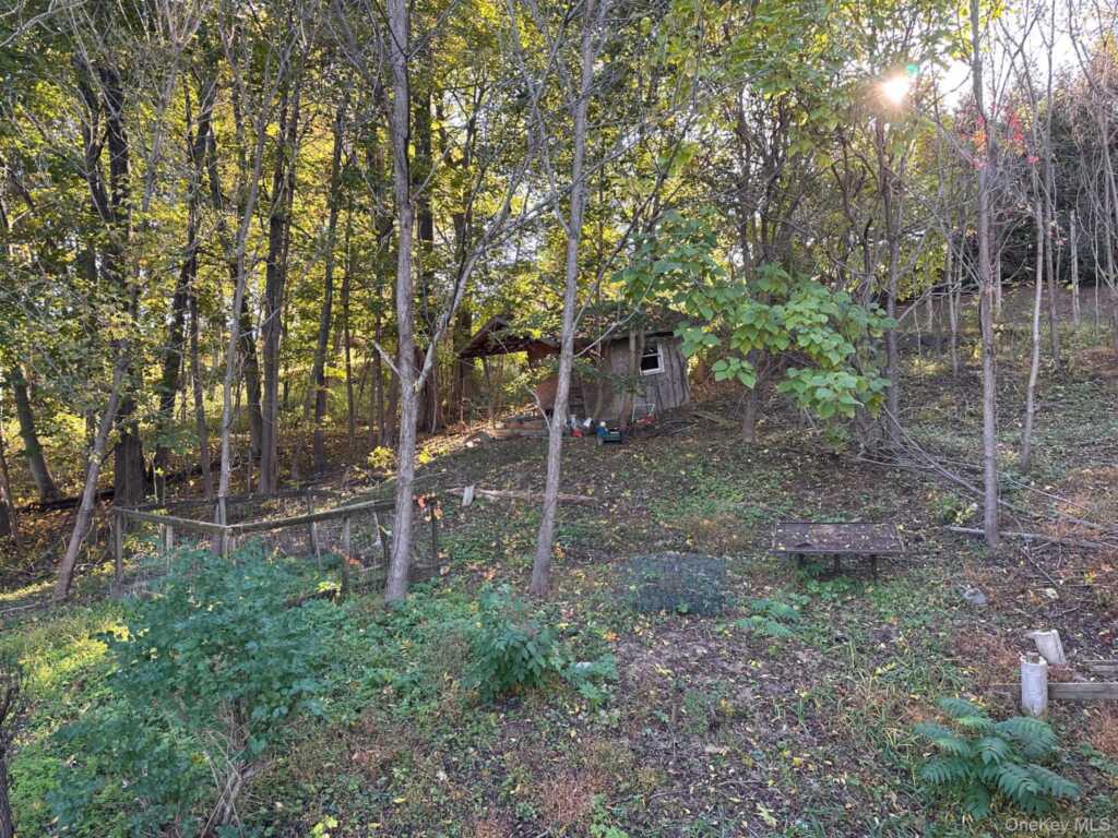 14 & 16 Underwood Street, Saugerties, NY 12477 - Photo 13 of 13