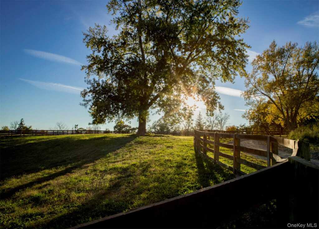 243 Morton Road, Rhinebeck, NY 12572 - Photo 38 of 44