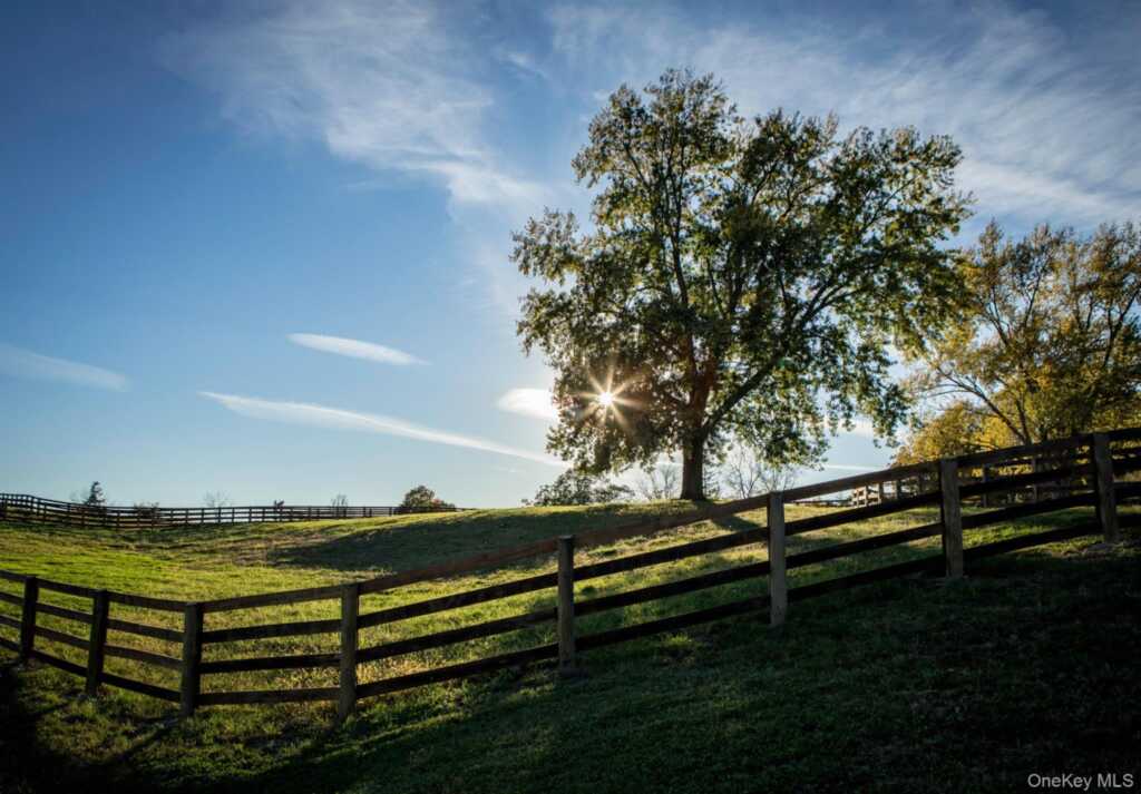 243 Morton Road, Rhinebeck, NY 12572 - Photo 39 of 44