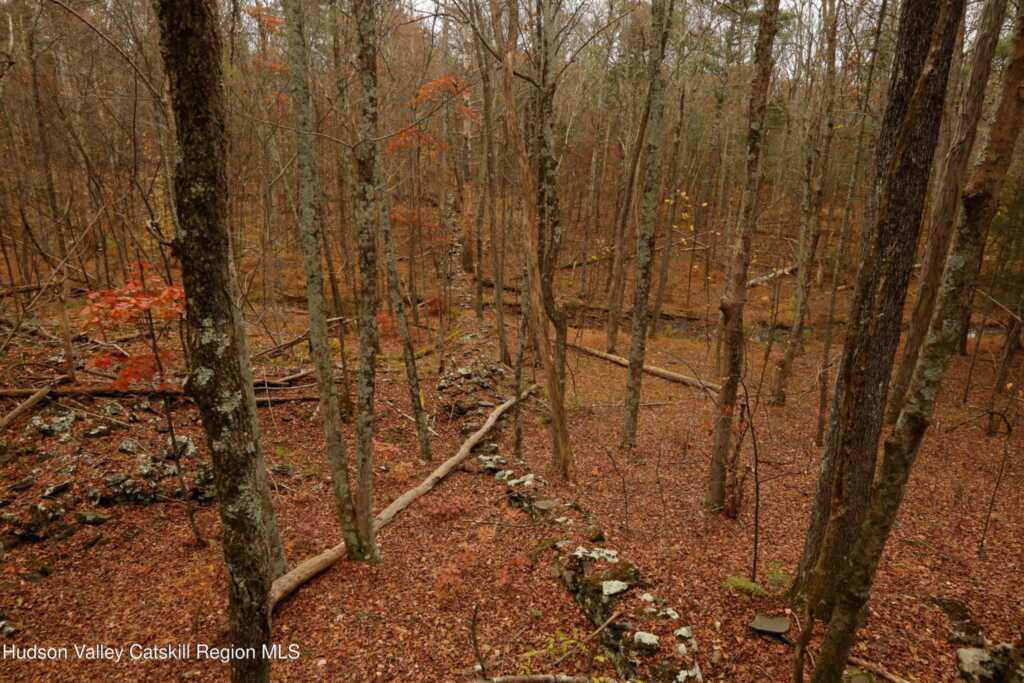 424 High Falls Road, Saugerties, NY 12477 - Photo 26 of 37