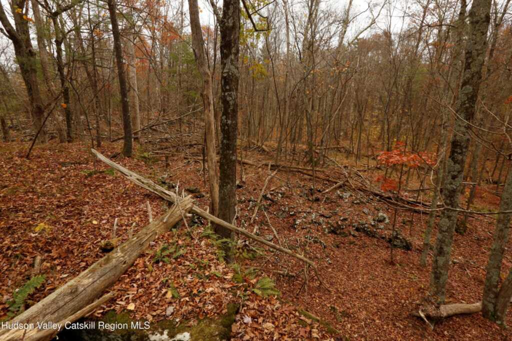 424 High Falls Road, Saugerties, NY 12477 - Photo 27 of 37