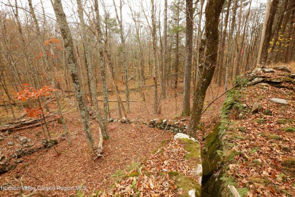 424 High Falls Road, Saugerties, NY 12477 - Photo 3 of 37