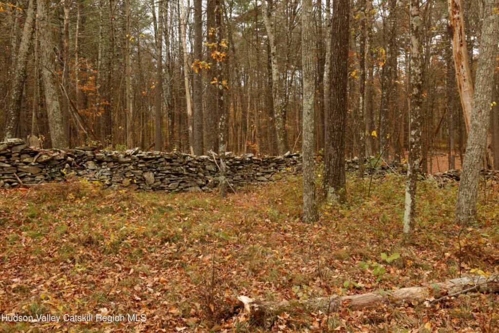 424 High Falls Road, Saugerties, NY 12477 - Photo 33 of 37