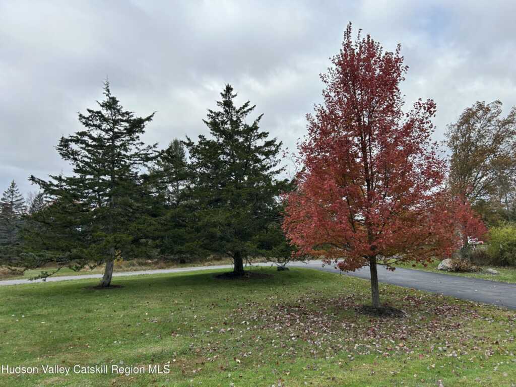 6 High Ridge Road, New Paltz, NY 12561 - Photo 8 of 40