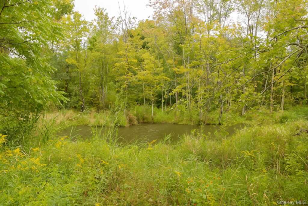 2829 Route 9G, Rhinebeck, NY 12572 - Photo 35 of 35