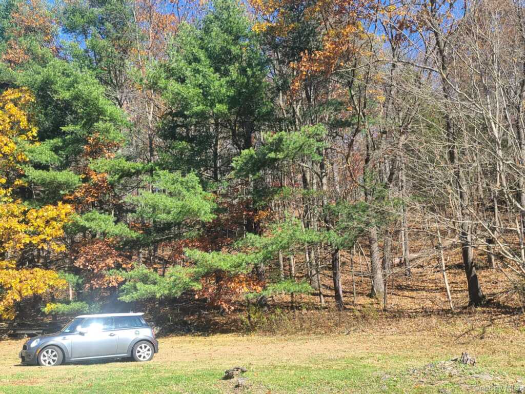 461 White Schoolhouse Road, Rhinebeck, NY 12572 - Photo 5 of 27