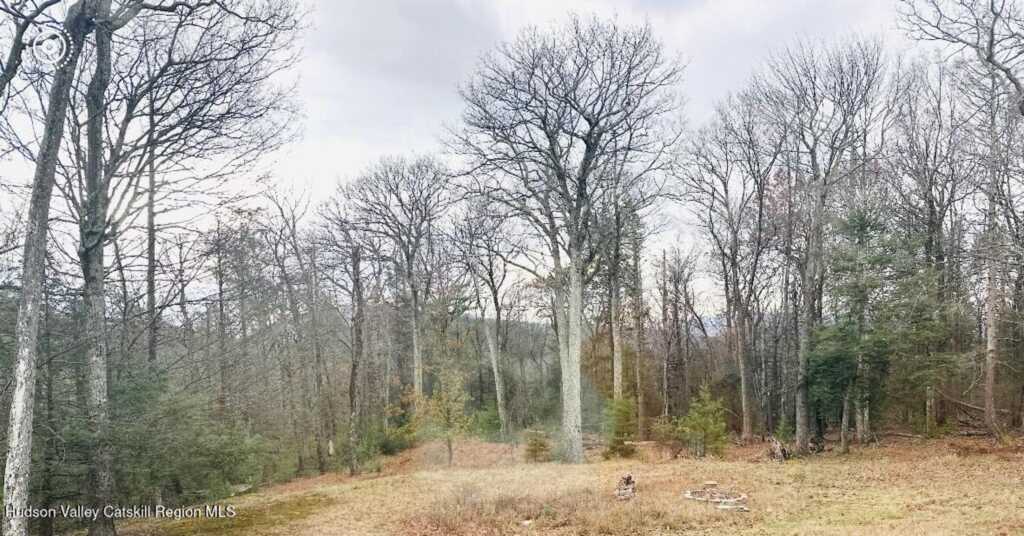 446 Abbey Road, Woodstock, NY 12498 - Photo 26 of 32