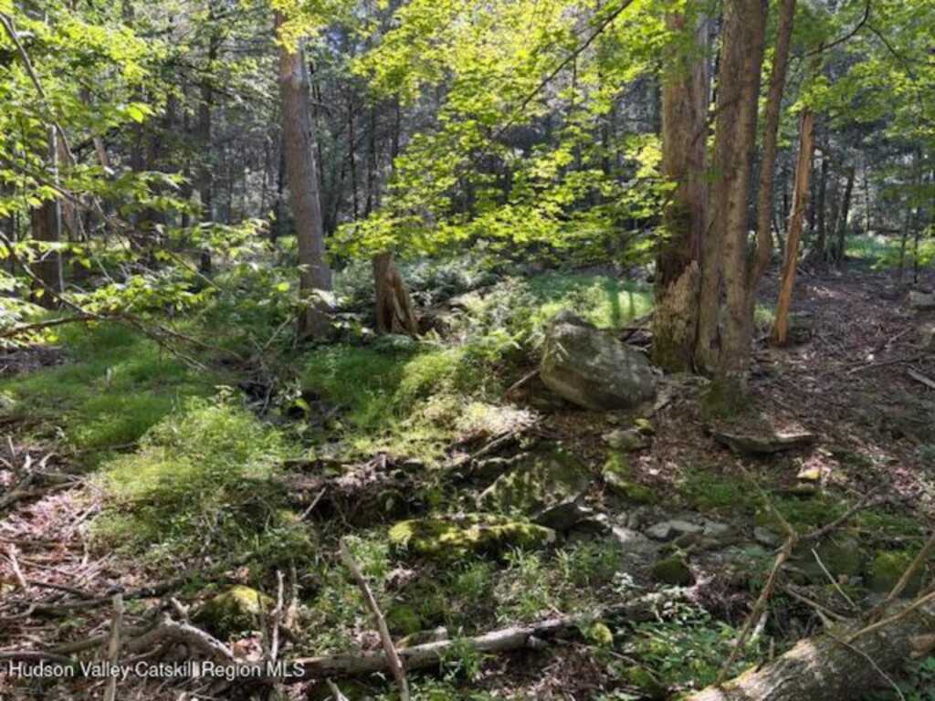 446 Abbey Road, Woodstock, NY 12498 - Photo 27 of 32