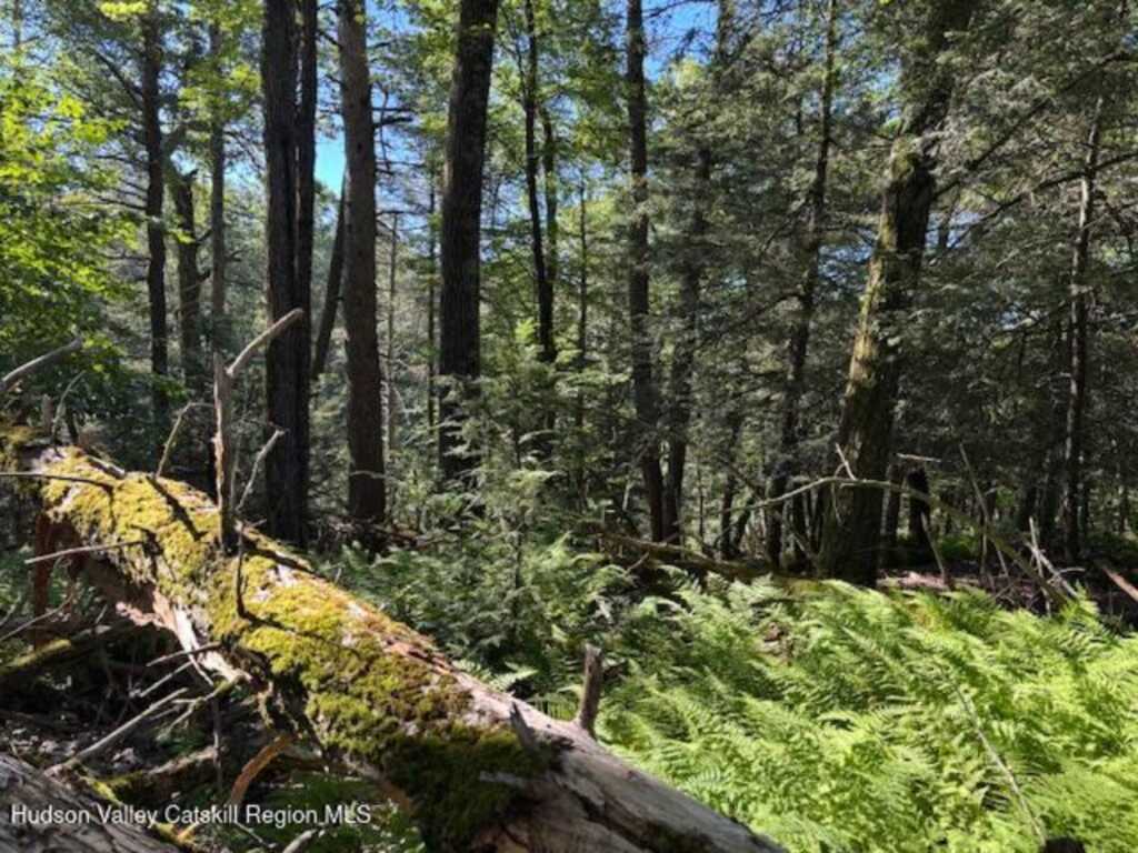 446 Abbey Road, Woodstock, NY 12498 - Photo 28 of 32