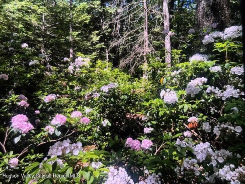 446 Abbey Road, Woodstock, NY 12498 - Photo 29 of 32