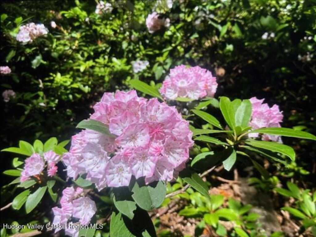 446 Abbey Road, Woodstock, NY 12498 - Photo 30 of 32