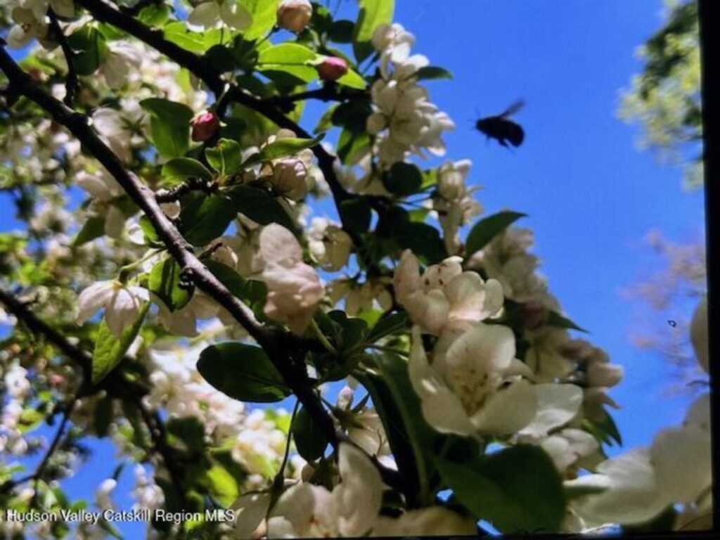 446 Abbey Road, Woodstock, NY 12498 - Photo 31 of 32