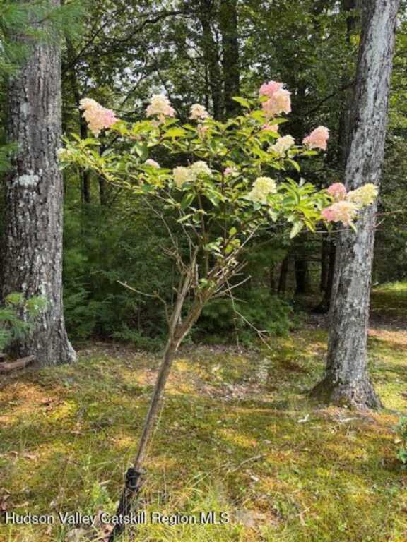 446 Abbey Road, Woodstock, NY 12498 - Photo 32 of 32