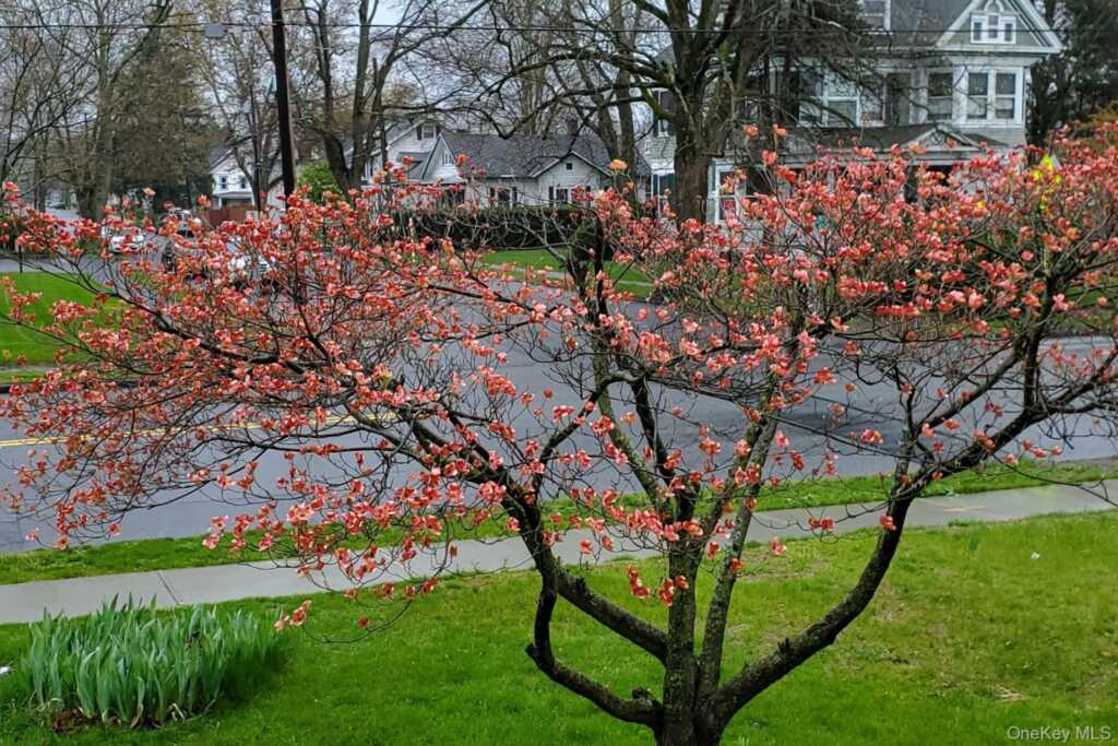 361 Albany Avenue, Kingston, NY 12401 - Photo 42 of 50