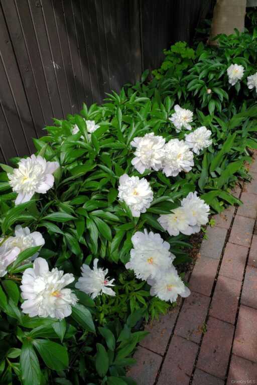 361 Albany Avenue, Kingston, NY 12401 - Photo 43 of 50