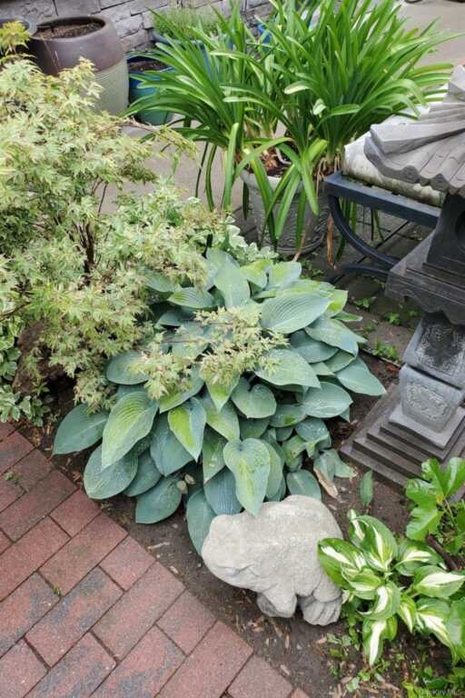 361 Albany Avenue, Kingston, NY 12401 - Photo 47 of 50