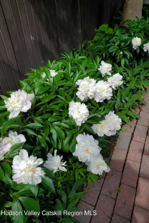 361 Albany Avenue, Kingston, NY 12401 - Photo 49 of 50