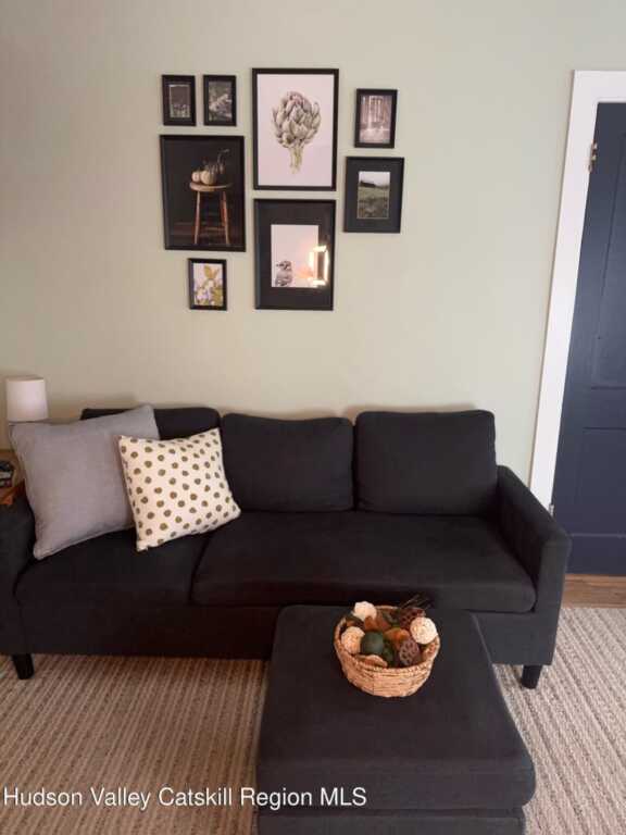 95-97 Livingston Street, Saugerties, NY 12477 - Photo 4 of 50