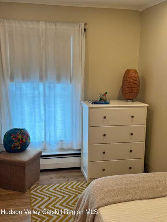 95-97 Livingston Street, Saugerties, NY 12477 - Photo 47 of 50